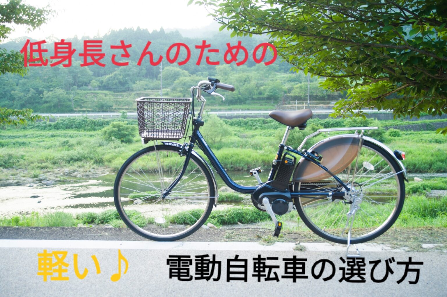 自転車 低 身長